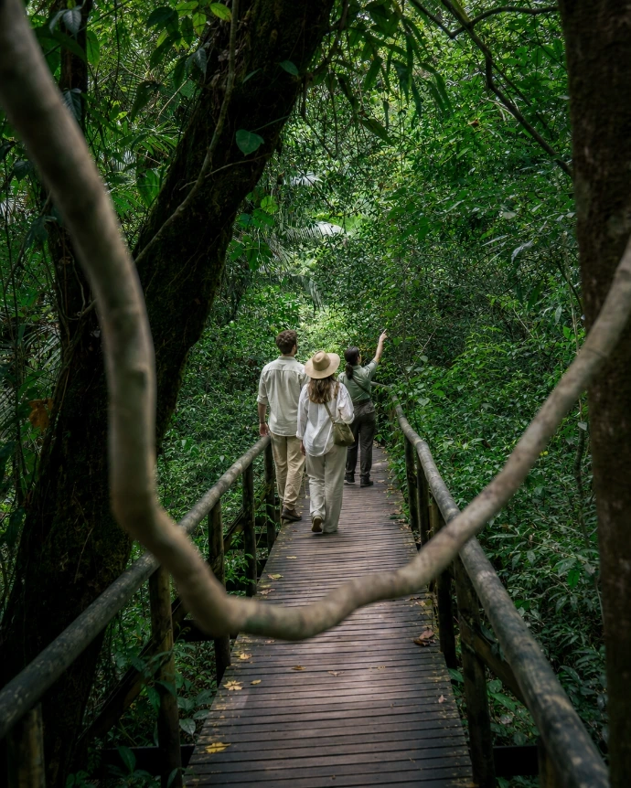 Guests exploring a tropical rainforest in Costa Rica as part of a curated luxury vacation experience